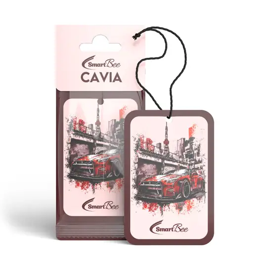 CAVIA Premium Soft Hanging Car Air Freshener