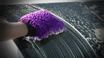 WASH MITTS